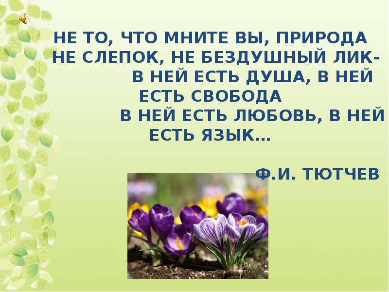 Не то что мните вы природа анализ. Не то что мните вы природа. Не то что мните вы.