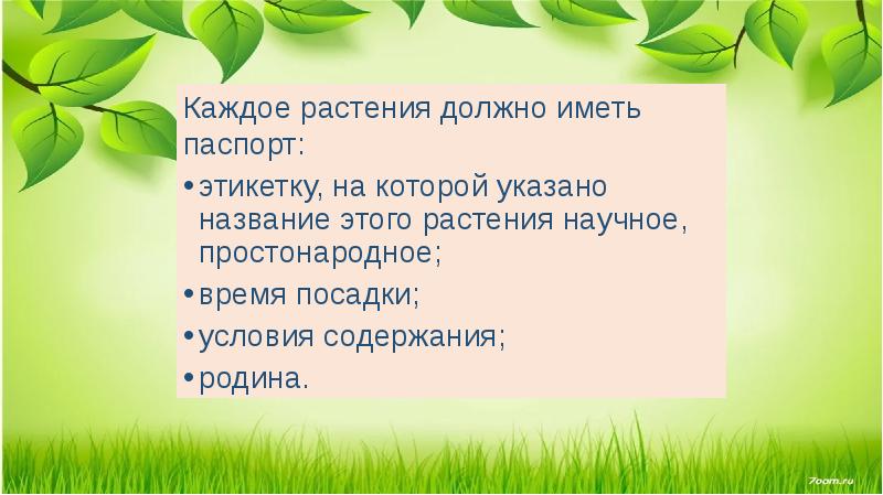 Каждое растение