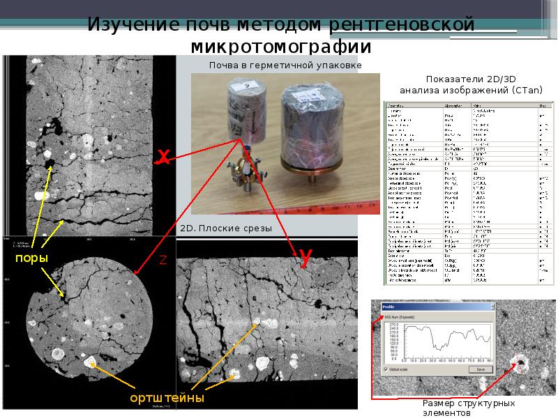 Исследование почвы проект