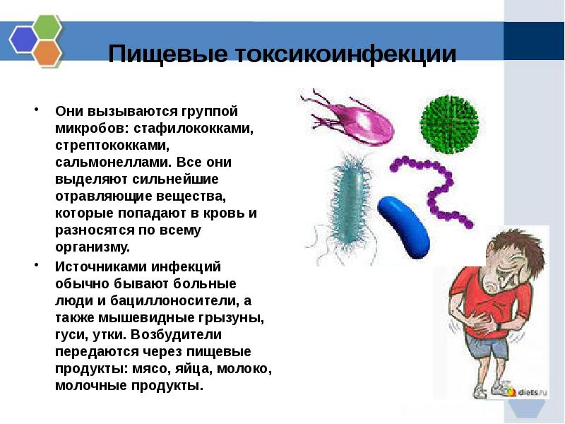 Основные инфекционные болезни и их профилактика презентация