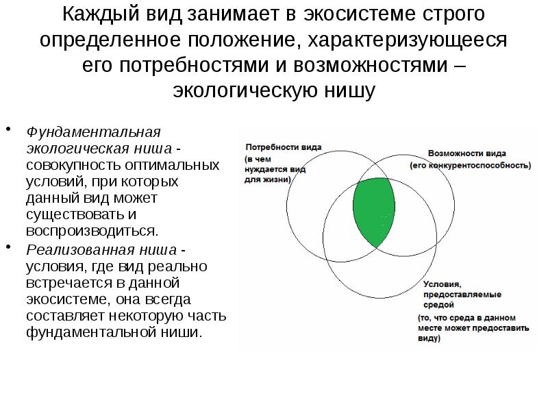 Экологическая ниша презентация 9 класс пасечник линия жизни