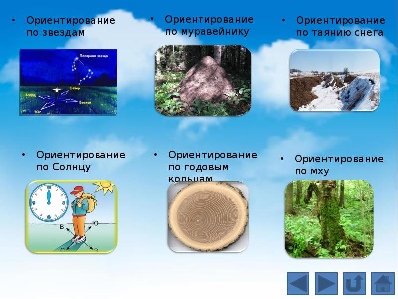 Ориентирование на местности презентация 10 класс