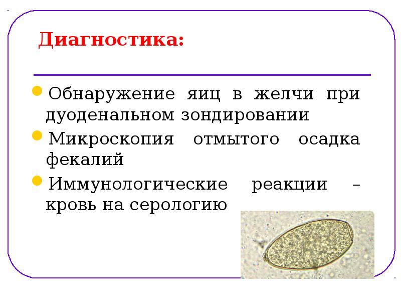 Диагностика:
Обнаружение яиц в желчи при дуоденальном зондировании
Микроскопия Диагностика:
Обнаружение яиц в желчи при дуоденальном зондировании
Микроскопия