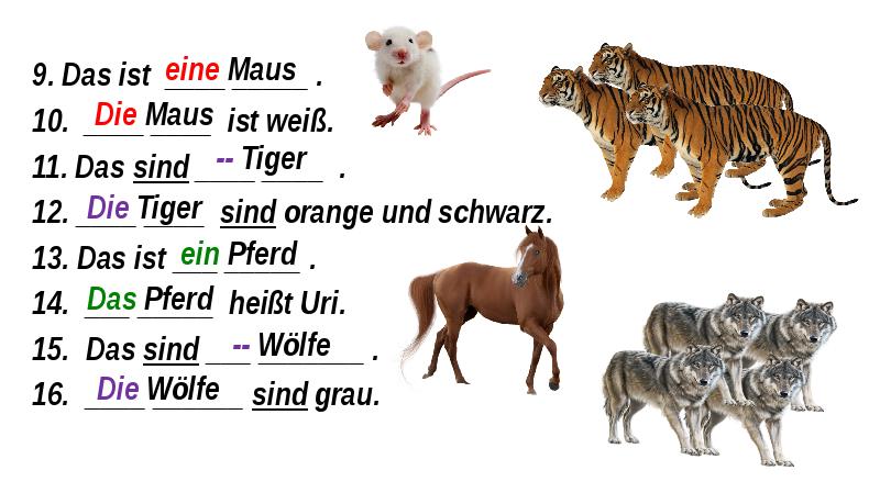 Животные ответ 1. Животные во множественном числе на немецком. Tiere презентация. Множественное число животных в немецком языке. Животные на немецком языке во множественном числе.