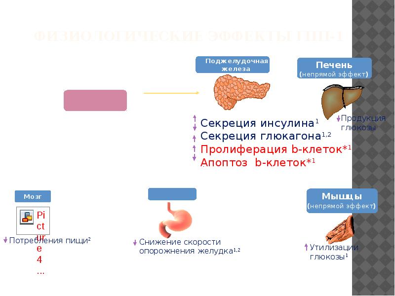 Гинекологическая эндокринология и репродуктивная медицина михель фон вольфф купить