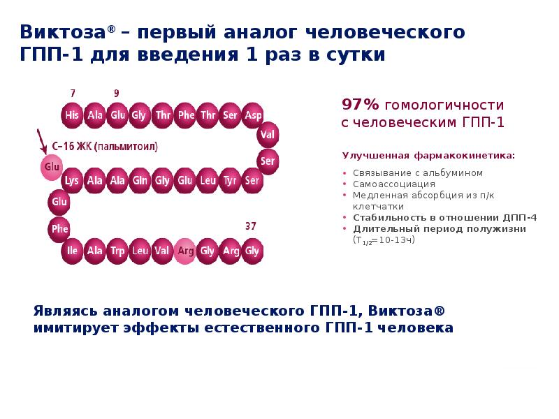 Окс презентация госпитальная терапия