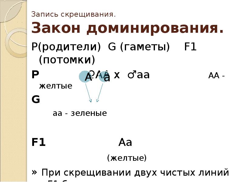 Моногибридное скрещивание закон расщепления. Закон доминирования. Запись скрещивания. Гаметы при скрещивании. Закон расщепления.