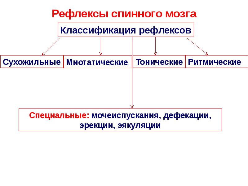 Методы исследования цнс презентация