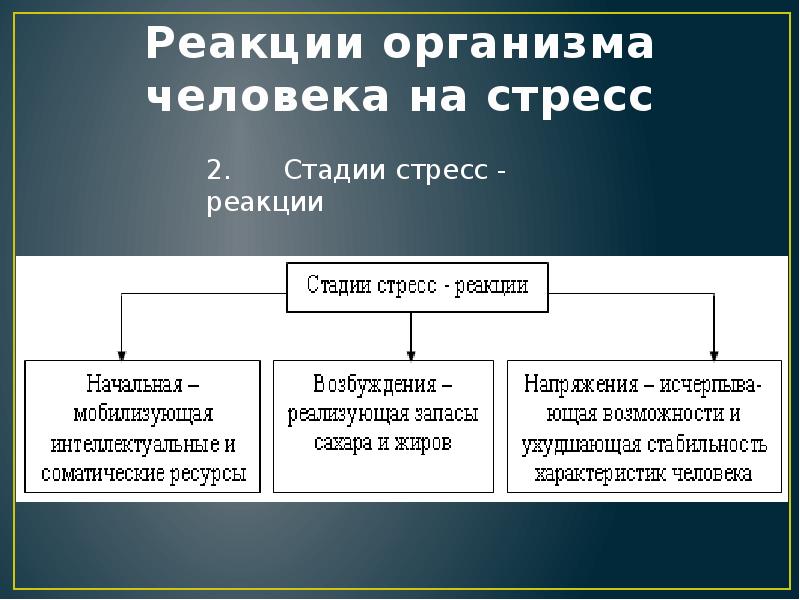 Реакции тела. Реакция организма на стресс. Реакции организма человека на стресс. Реакция организма на стрессовые ситуации. Выделите реакции организма на стресс:.