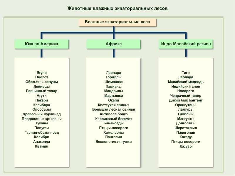 Экосистема суши презентация