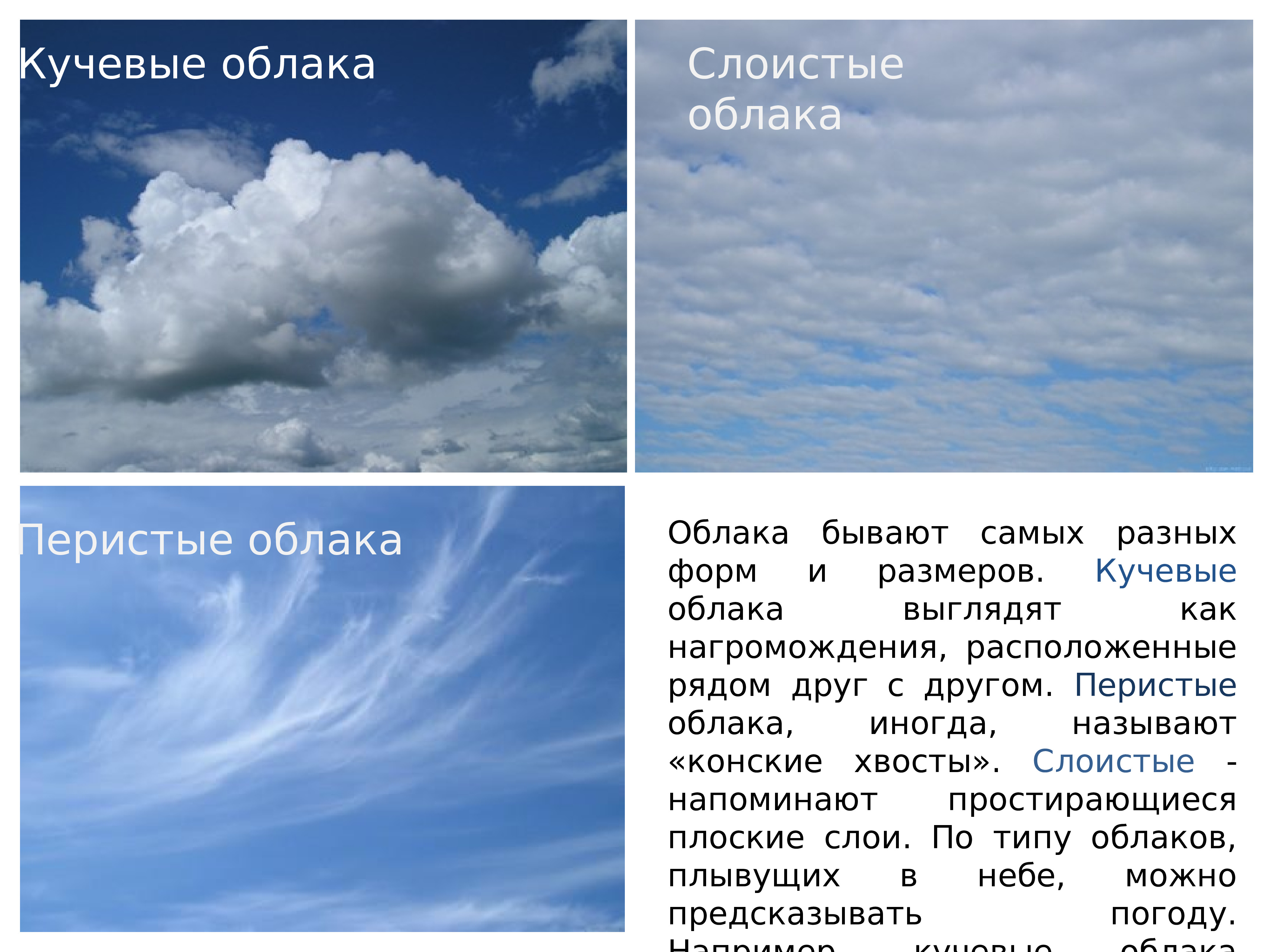 Расстояние между облаками. Облака Кучевые перистые Слоистые. Перистые,Слоистые, кучево дождевые, Кучевые облака. Как выглядят перисто Слоистые облака. Перистые Слоистые кучерявые облака.
