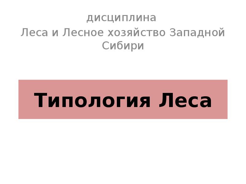 Типология леса презентация