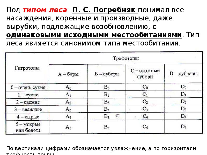 Типология леса презентация