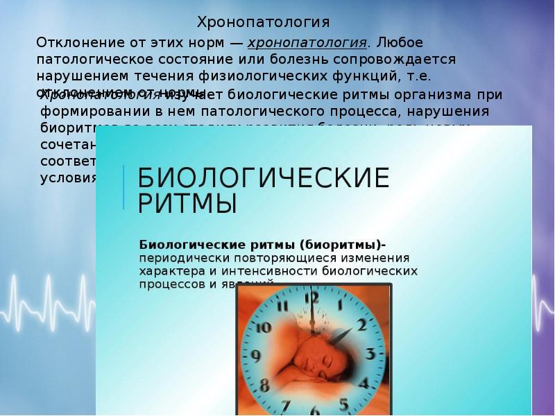 Презентация биоритмы жизни