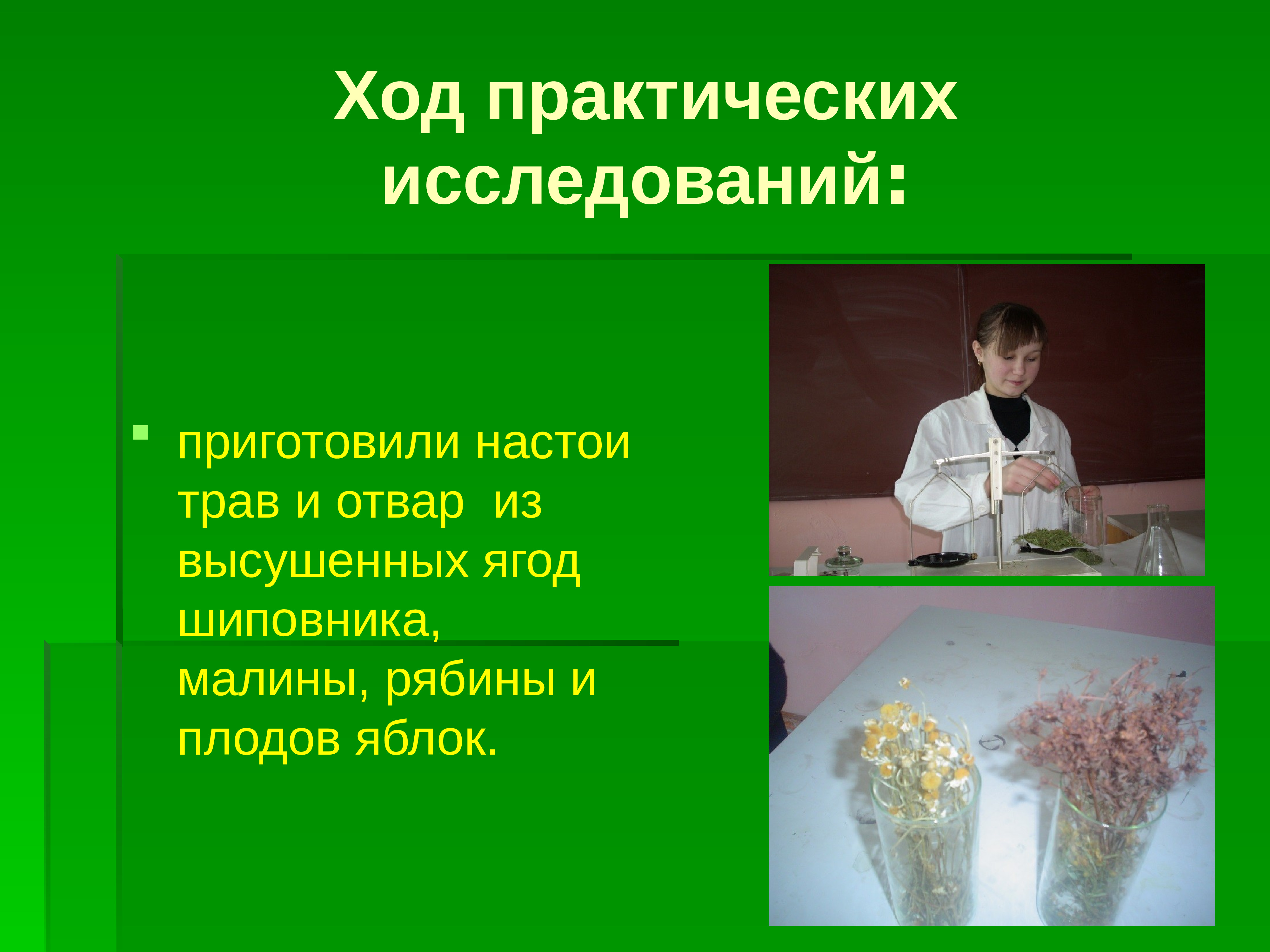 Практическое изучение. Укажите основные аспекты приготовления настоев.