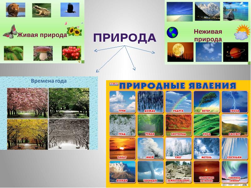 Экскурсия в природу 5 класс география презентация