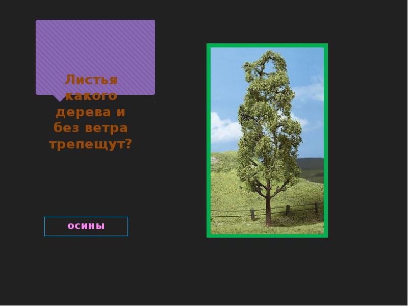 В темном лесу где трепещут осины. Листья какого дерева и без ветра трепещут. Трепещущие осины смешные. Викторины по теме экология 1 класс. Трепещут осины песня.