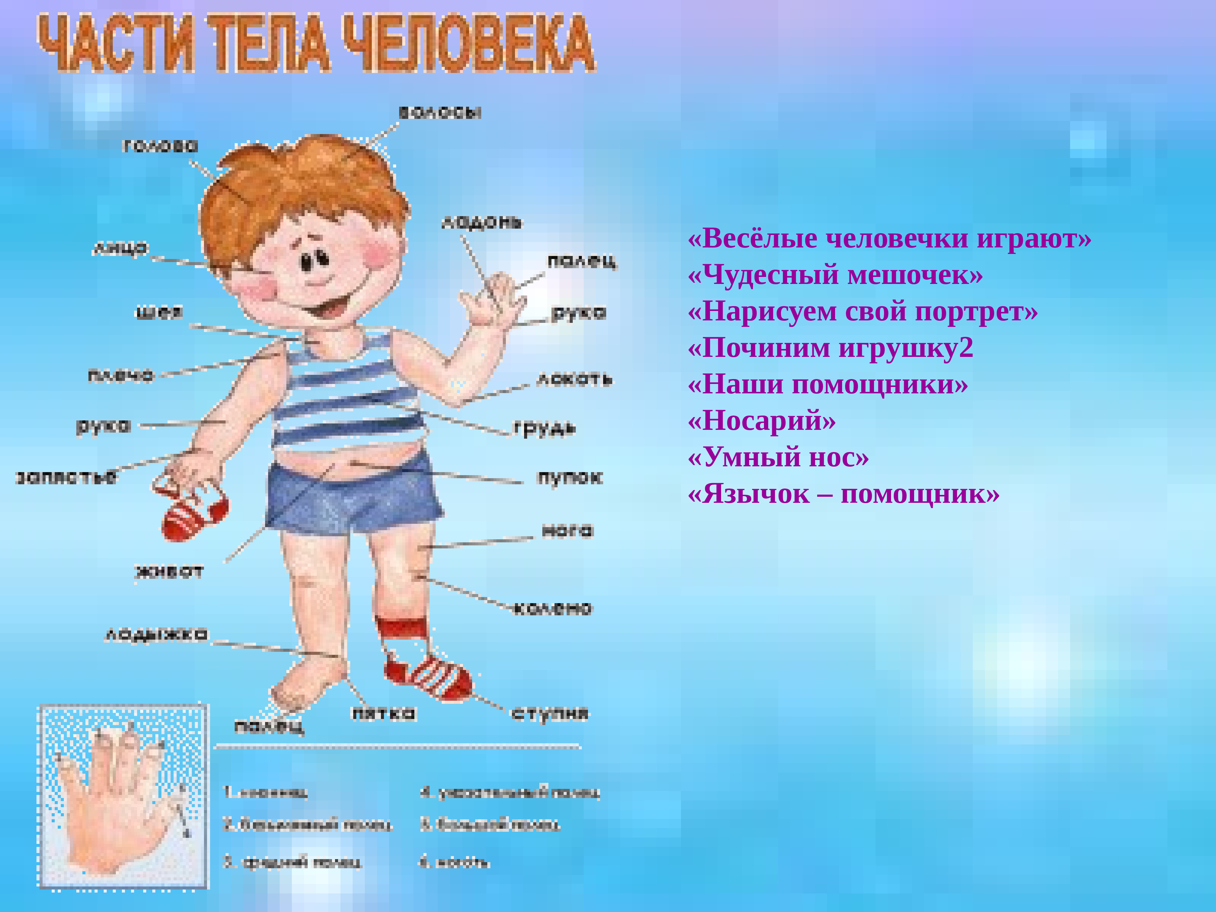 Части тела для дошкольников. Тело человека исследовательская деятельность.