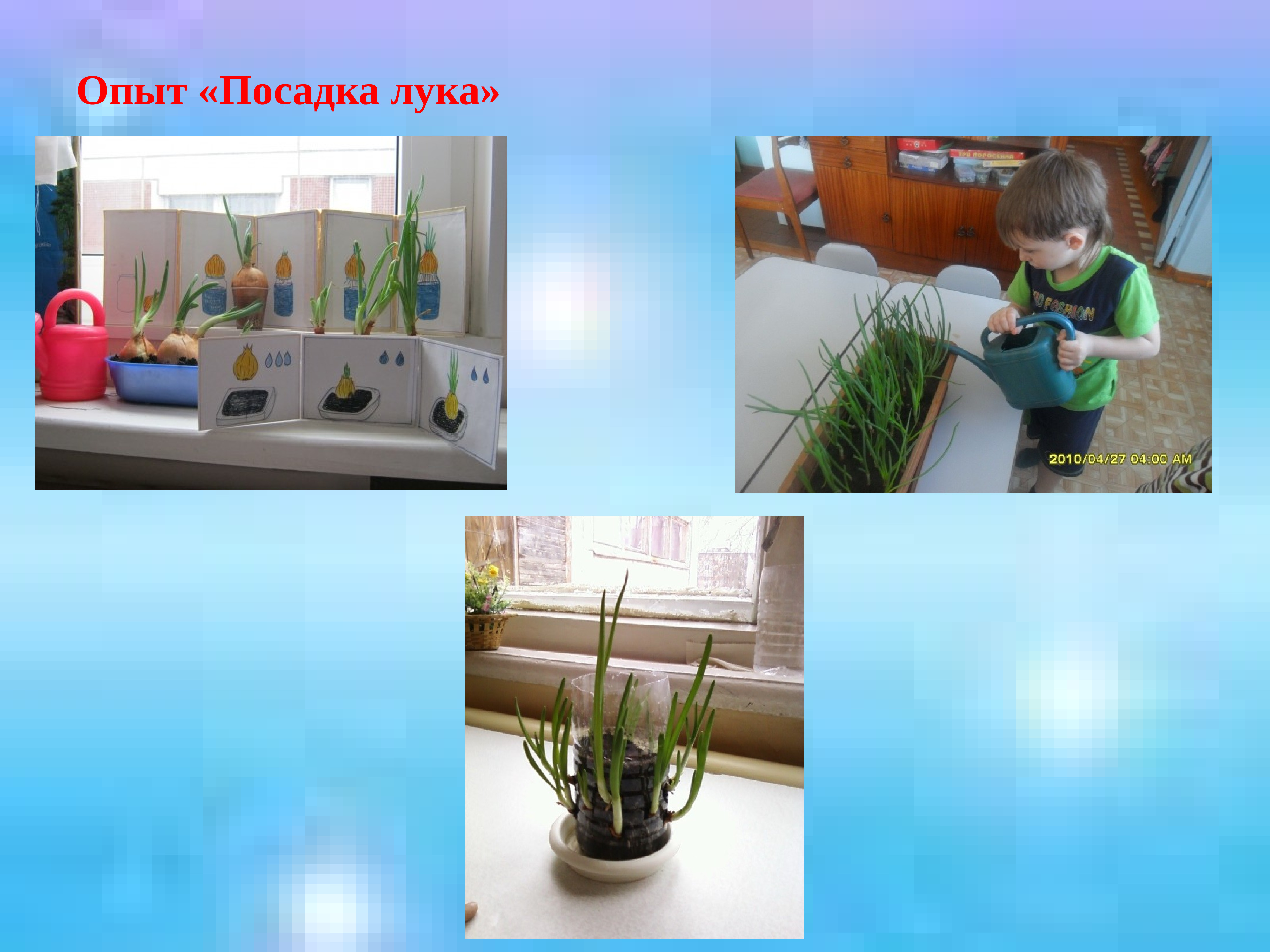 Идея эксперимента это. Эксперименты с плесенью. Эксперимент по выращиванию плесени. Опыты по биологии с растениями. Выращенные кристаллы соли.